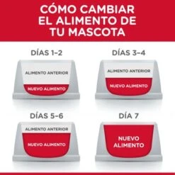 Hill's Science Plan Hill's Adult 1+ Healthy Mobility Large Science Plan Con Pollo -Productos Para Perros atf6 604370 feeding transition 8