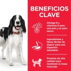 Hill's Science Plan Hill's Adult 1-6 Medium Science Plan Con Pollo 12 Hill's Science Plan Hill's Adult 1-6 Medium Science Plan Con Pollo -Productos Para Perros atf8 604354 key benefits 4
