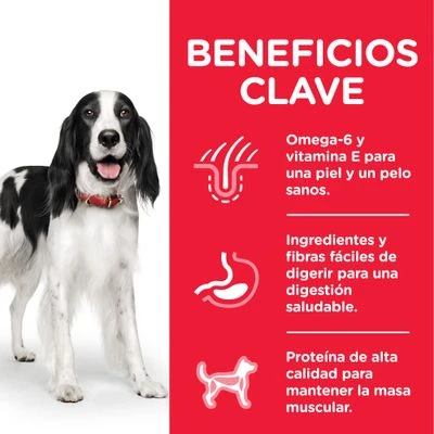 Hill's Science Plan Hill's Adult 1-6 Medium Science Plan Con Pollo 6 Hill's Science Plan Hill's Adult 1-6 Medium Science Plan Con Pollo - Imagen 4