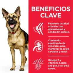 Hill's Science Plan Hill's Mature Adult 6+ Large Science Plan Con Pollo 12 Hill's Science Plan Hill's Mature Adult 6+ Large Science Plan Con Pollo -Productos Para Perros atf8 604371 key benefits 5