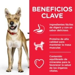 Hill's Science Plan Hill's Adult 1+ Perfomance Science Plan Con Pollo -Productos Para Perros atf8 604383 key benefits 2