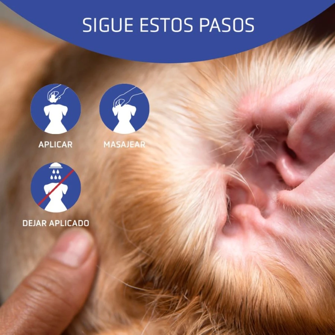 ARTERO Aurigel, Limpiador De Oidos 4 ARTERO Aurigel, Limpiador De Oidos - Imagen 2