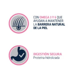 Advance Derma Forte Para Perros 10 Advance Derma Forte Para Perros -Productos Para Perros benefits DERMAFORETE ES 62c589ca26ccd