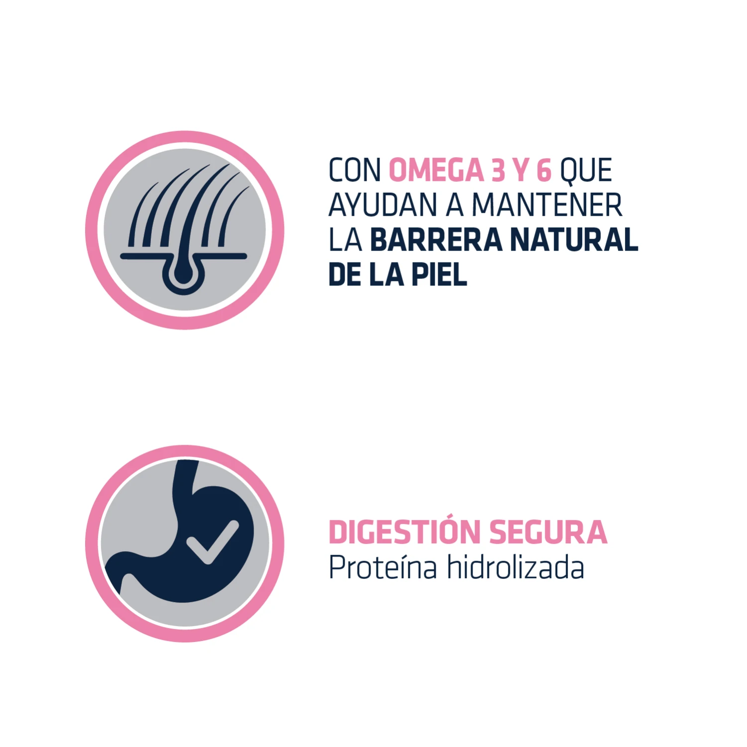 Advance Derma Forte Para Perros 6 Advance Derma Forte Para Perros - Imagen 4