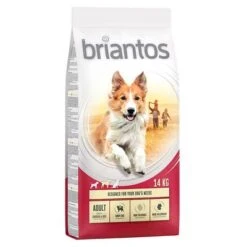 Briantos Pienso Para Perros - Pack Ahorro -Productos Para Perros briantos adult chickenrice 14kg 1000x1000 9