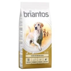 Briantos Pienso Para Perros - Pack Ahorro -Productos Para Perros briantos adult maxi chickenrice 14kg 1000x1000 2