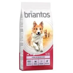 Briantos Pienso Para Perros - Pack Ahorro -Productos Para Perros briantos adult salmonrice 14kg 1000x1000 0