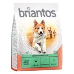 Briantos Adult Sensitive Con Cordero Y Arroz -Productos Para Perros briantos c 1kg adult sensitive 2022 1000x1000 4