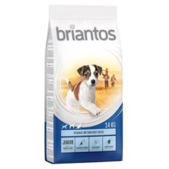 Briantos Pienso Para Perros - Pack Ahorro -Productos Para Perros briantos junior chickenrice 14kg 1000x1000 2