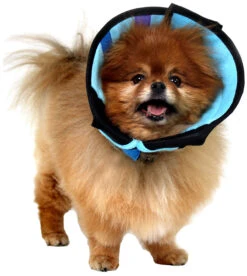 Calmer 15-23 Cm / 12 Cm 7 Calmer 15-23 Cm / 12 Cm -Productos Para Perros calmer 15 23 cm 12 cm 1