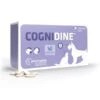 Cognidine 60 Comprimidos -Productos Para Perros cognidine 60 comprimidos 634ff9310683e
