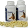 Colaid Para Problemas Gastrointestinales En Perros 2 Colaid Para Problemas Gastrointestinales En Perros -Productos Para Perros colaid para problemas gastrointestinales en perros 1
