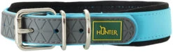 Hunter Collar Convenience Para Perros Color Turquesa
