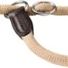 Hunter Collar De Adiestramiento Freestyle -Productos Para Perros collar de adiestramiento freestyle 1