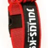 Julius K9 Collar Color & Gray IDC Con Asa Rojo -Productos Para Perros collar rojo juliusk9 62dfd64a896e1