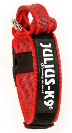 Julius K9 Collar Color & Gray IDC Con Asa Rojo