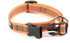 Julius K9 Collar -Productos Para Perros collar 5
