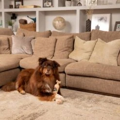 Pet Head Sensitive Soul Champú, Acondicionador Y Spray Para Perros -Productos Para Perros companyofanimals pethead sensitivesoul set3teilig hs 08 9