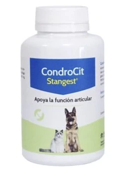 Condroproctector Para Perros Y Gatos Condrocit -Productos Para Perros controcit stangest 647770f80ace0