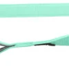 Trixie Correa Premium Menta -Productos Para Perros correa premium menta 1