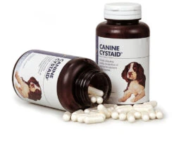 Cystaid Para Problemas Del Sistema Urinario En Perros