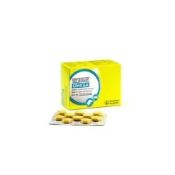 Boehringer Ingelheim Seraquin Condroprotector 7 Boehringer Ingelheim Seraquin Condroprotector -Productos Para Perros dogcondroprotector articulaciones seraquin omega 60 comprimidos2 623a04b166cb5