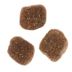 Wolf Of Wilderness The Taste Of The Mediterranean 18 Wolf Of Wilderness The Taste Of The Mediterranean -Productos Para Perros dsc2639 2