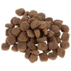 Wolf Of Wilderness The Taste Of The Mediterranean 17 Wolf Of Wilderness The Taste Of The Mediterranean -Productos Para Perros dsc2641 5