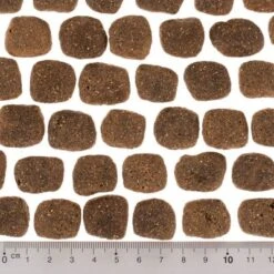 Wolf Of Wilderness The Taste Of The Mediterranean 15 Wolf Of Wilderness The Taste Of The Mediterranean -Productos Para Perros dsc2642 0