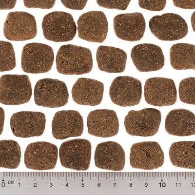 Wolf Of Wilderness The Taste Of The Mediterranean 7 Wolf Of Wilderness The Taste Of The Mediterranean - Imagen 5