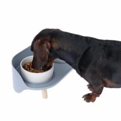 TIAKI Comedero Doble De Cerámica Para Mascotas -Productos Para Perros dsc6184 0