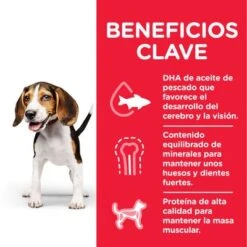 Hill's Science Plan Hill's Puppy <1 Medium Science Plan Con Pollo 13 Hill's Science Plan Hill's Puppy <1 Medium Science Plan Con Pollo -Productos Para Perros es dog puppy medium chicken transition benefits jpg 1 1