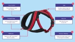 Arnés Comfy Rojo 9 Arnés Comfy Rojo -Productos Para Perros halti walking comfy harness image carousel 1100 x 620 62332bafa0624
