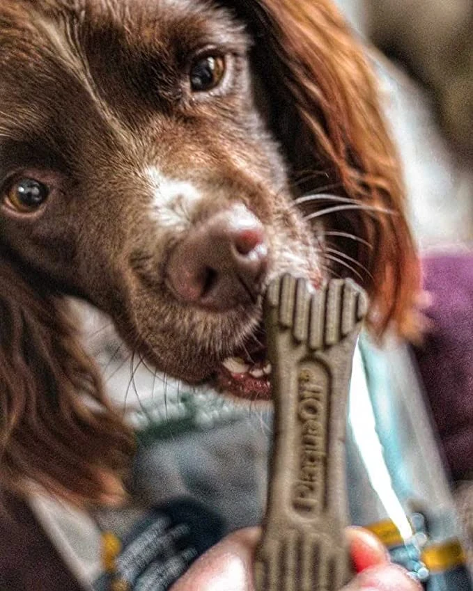 Bones Veggie 4 Bones Veggie - Imagen 2