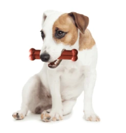 Bone Ternera Asada Y Vino Tinto -Productos Para Perros image qp 3 6349154872eda