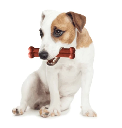 Bone Pollo Asado Y Tomillo 5 Bone Pollo Asado Y Tomillo - Imagen 3