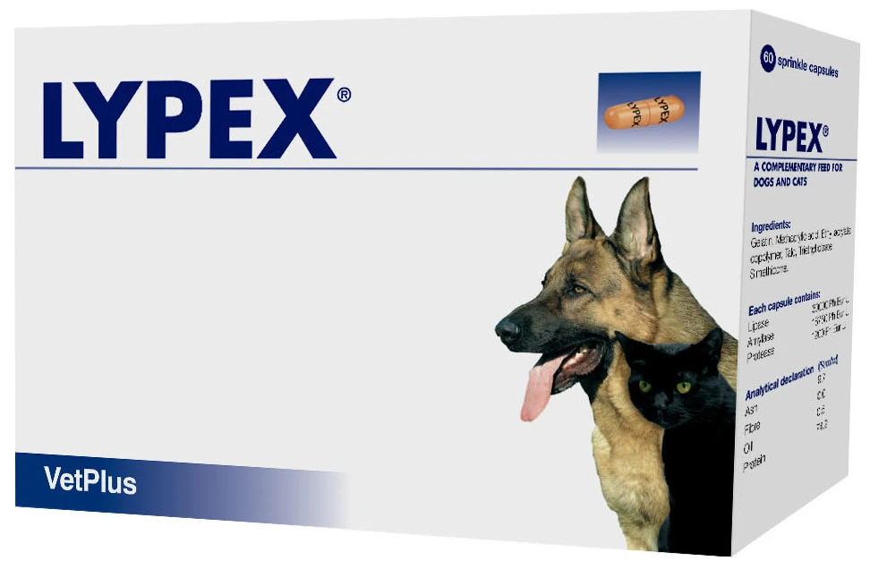 Lypex Para Problemas Del Páncreas En Perros Y Gatos 3 Lypex Para Problemas Del Páncreas En Perros Y Gatos