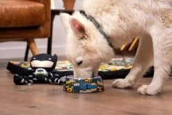 Mordedor Para Perro Batman -Productos Para Perros mordedor para perro batman 7