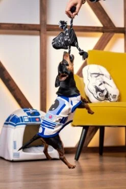 Mordedor Para Perro Star Wars -Productos Para Perros mordedor para perro star wars 7