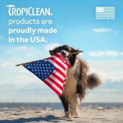 Tropiclean Champú Moras Y Coco 22 Tropiclean Champú Moras Y Coco -Productos Para Perros nn1sysgxpl3edbu8eyft 2 6368c4e9961a5