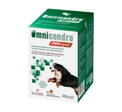 Omnicondro ProRapid -Productos Para Perros omnicondro pro rapid 60cp articulacoes 0 png 648732c30e1f5