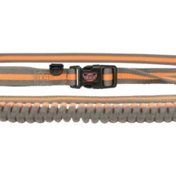 Trixie Correa Para Perros Especial Para Correr Gris Verde -Productos Para Perros originals PHO PRO DET CLIP PHO PRO DET CLIP 12763 3 SALL AWK V1 63106efce7cb9