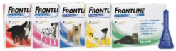 Frontline Spot On Para Perros (20 - 40 Kg) 13 Frontline Spot On Para Perros (20 - 40 Kg) -Productos Para Perros packshot 62729a9d71a1b