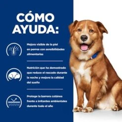 Hill’s Prescription Diet Derm Complete Comida Húmeda Para Perros 17 Hill’s Prescription Diet Derm Complete Comida Húmeda Para Perros -Productos Para Perros pd derm complete dog bk30270m bk31389 how helps es 0