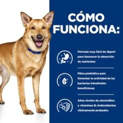 Hill's I/d Prescription Diet Digestive Care Estofado Para Perros -Productos Para Perros pd id dog bk33557 how works es 1