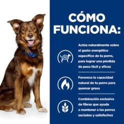 Hill's Metabolic Prescription Diet Comida Húmeda Para Perros -Productos Para Perros pd metabolic dog bk32929 bk27893m bk32064m bk21343 bk21344 how works es 7