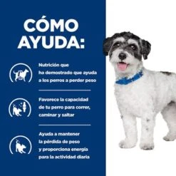 Hill's Metabolic + Mobility Mini Prescription Diet Pienso Para Perros -Productos Para Perros pd metabolic mobility mini dog bk31838m how helps es 9