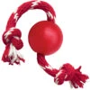 KONG Pelota Con Cuerda 1 KONG Pelota Con Cuerda -Productos Para Perros pelota con cuerda 1