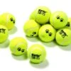 Pelota De Tenis De 12 30:15 -Productos Para Perros pelota de tenis de 12 30 15 1