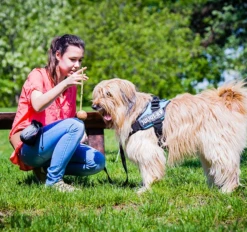 Julius K9 Pelota IDC Con Asa 15 Julius K9 Pelota IDC Con Asa -Productos Para Perros pelota idc con asa 5